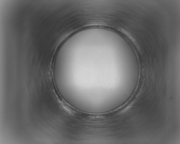 X0000072531129200607141003
