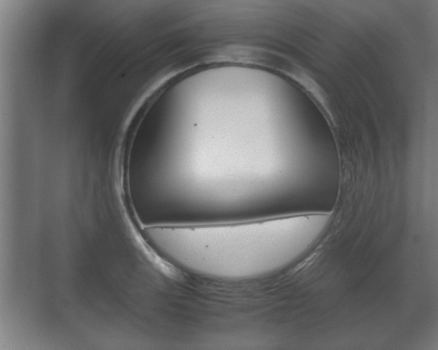 X0000072531131200607141003