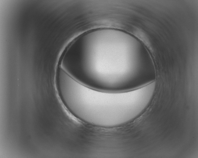 X0000072531136200607141003
