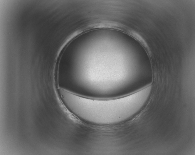 X0000072531138200607141003