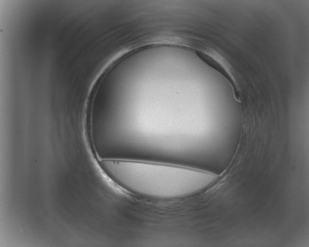 X0000072531139200607141003