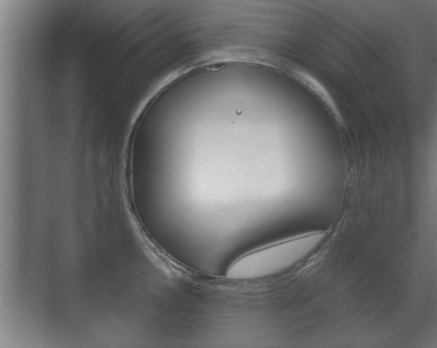 X0000072531146200607141004