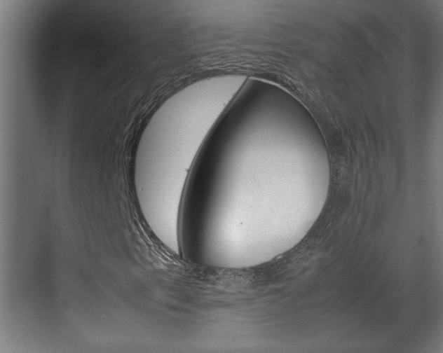 X0000072531153200607141003