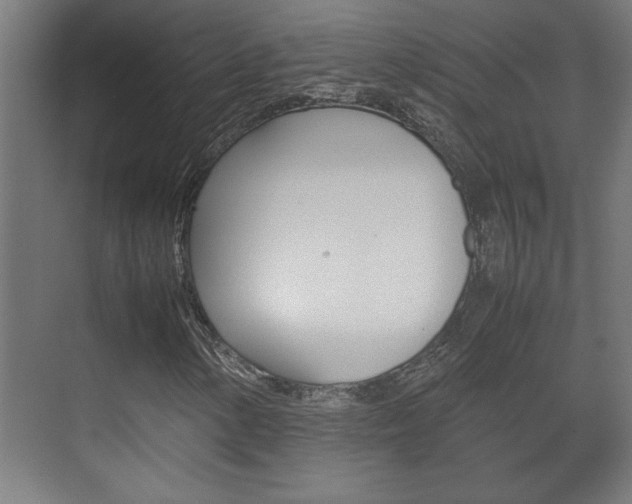 X0000072531154200607141003