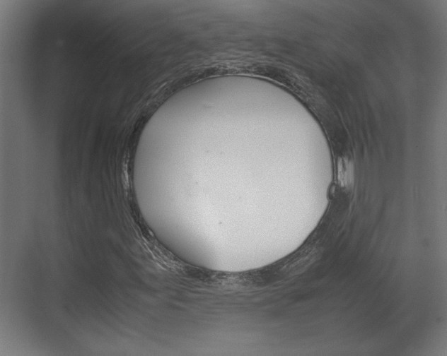 X0000072531155200607141003