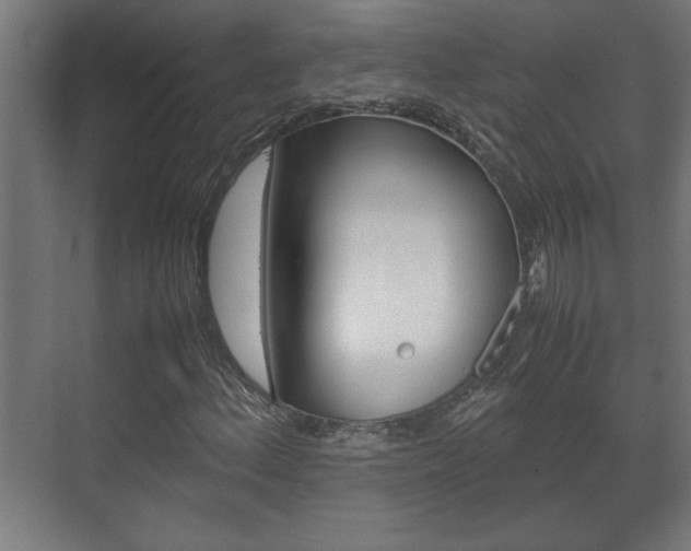 X0000072531156200607141003