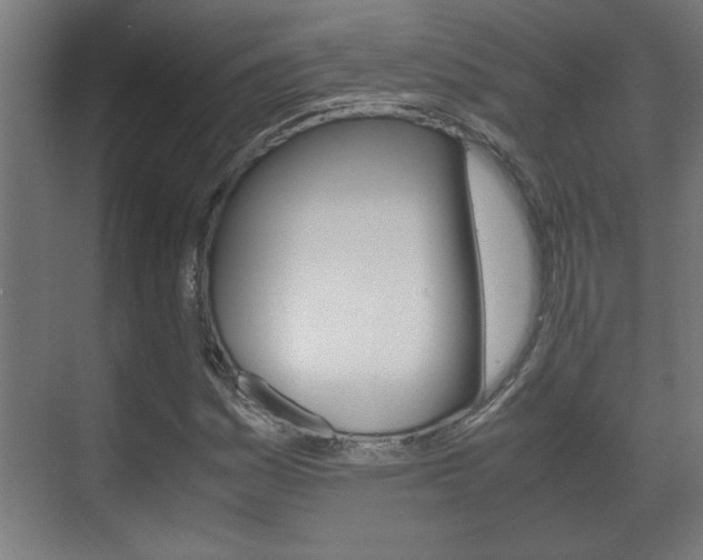 X0000072531161200607141003