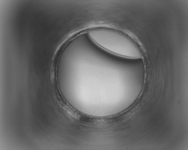 X0000072531167200607141003