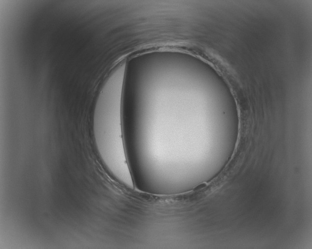 X0000072531169200607141003