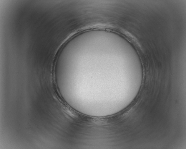 X0000072531170200607141003