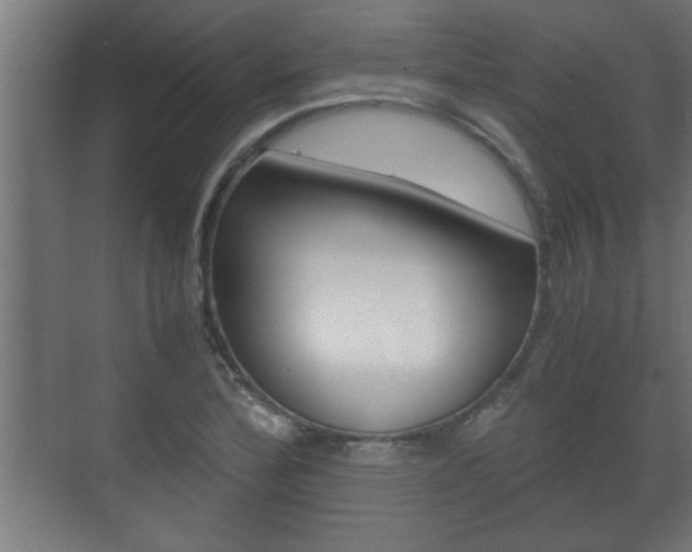 X0000072531172200607141003