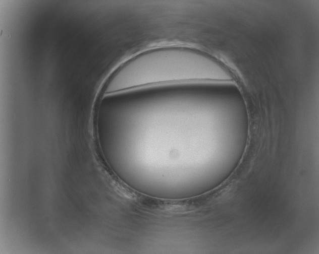 X0000072531173200607141003