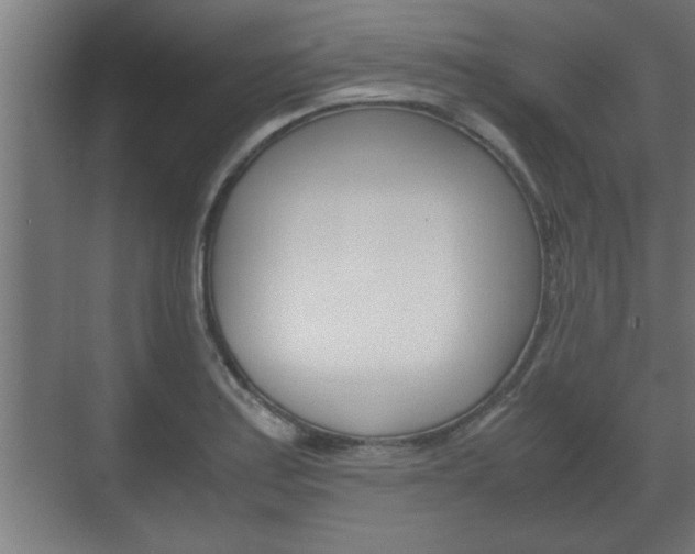 X0000072531179200607141002