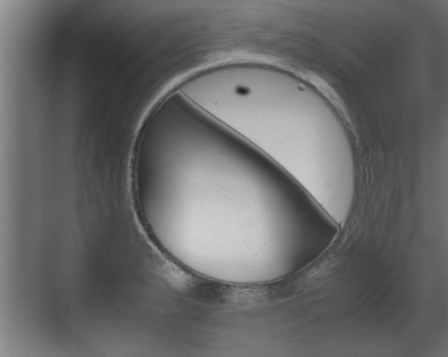 X0000072531183200607141002