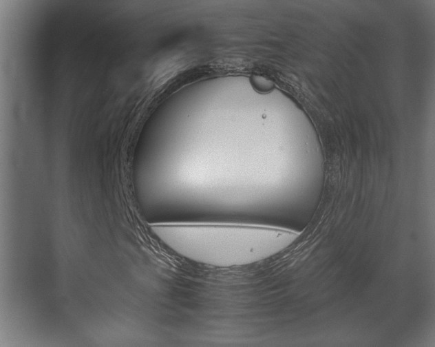 X0000072531201200607141001