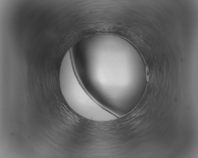 X0000072531202200607141001