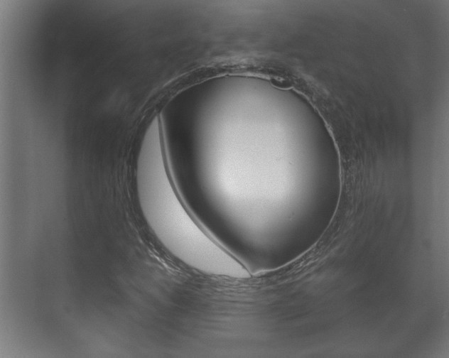 X0000072531206200607141001