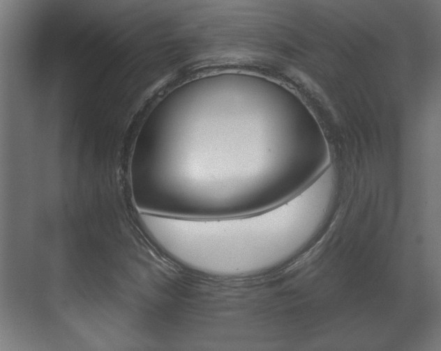 X0000072531210200607141001