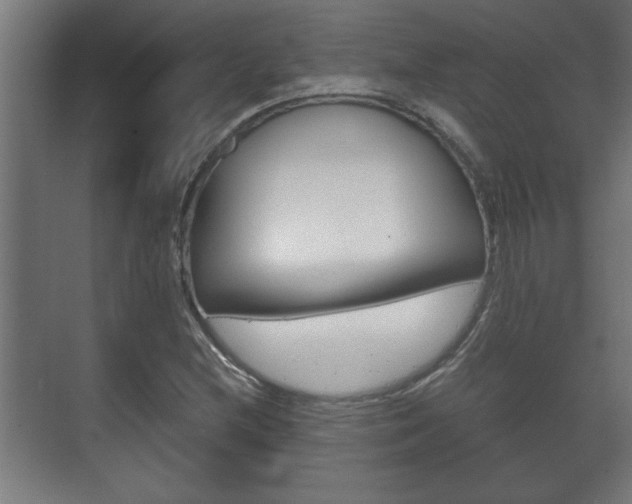 X0000072531212200607141001