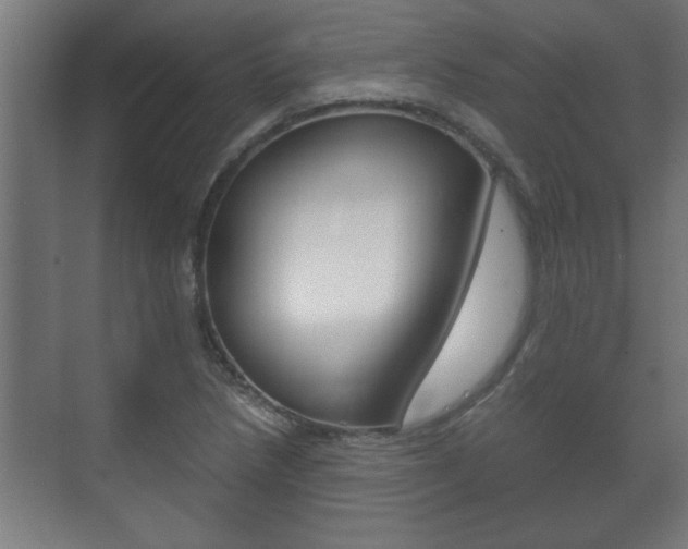 X0000072531218200607141002