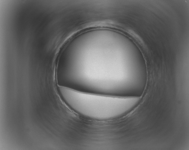 X0000072531224200607141002