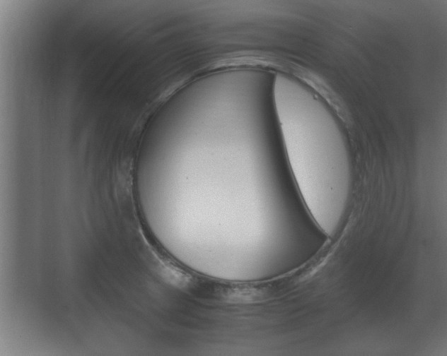X0000072531233200607141002