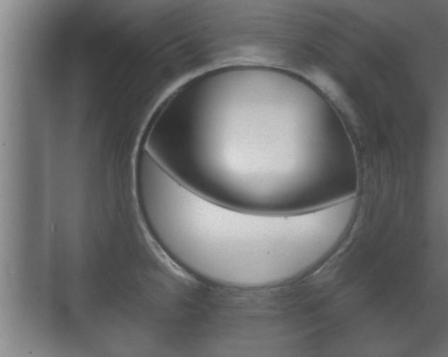 X0000072531238200607141002