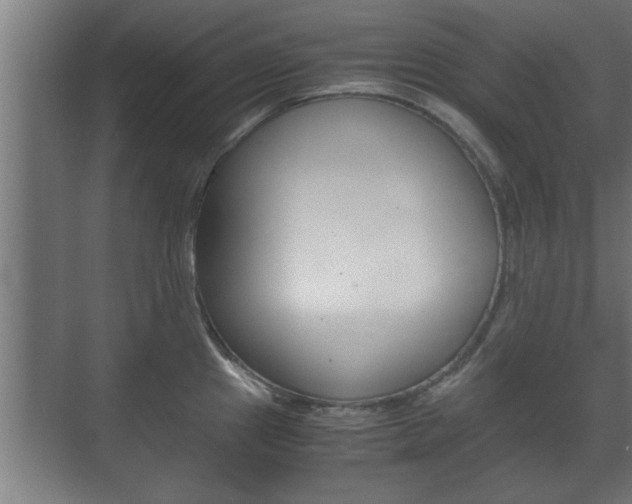 X0000072531241200607141002