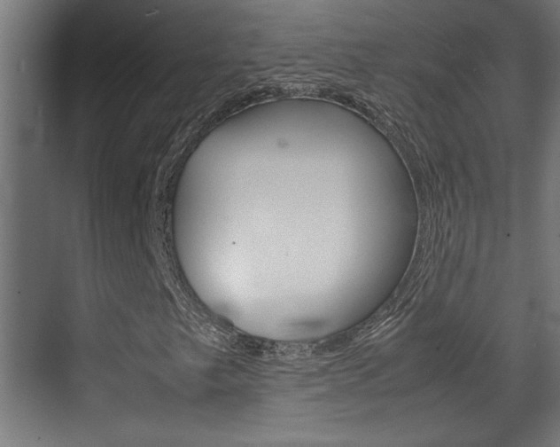 X0000072531249200607141001