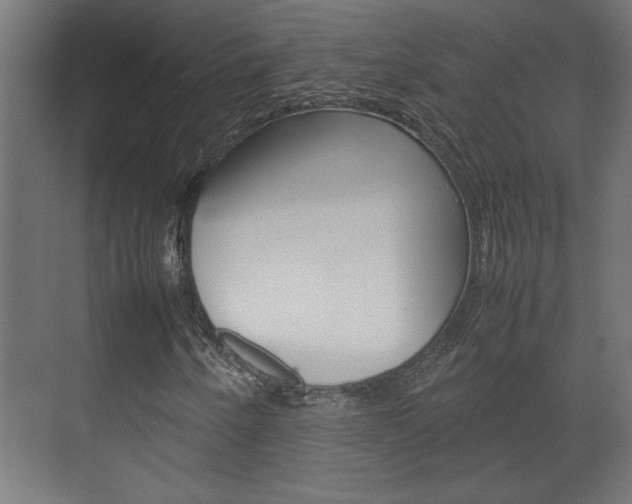 X0000072531250200607141001