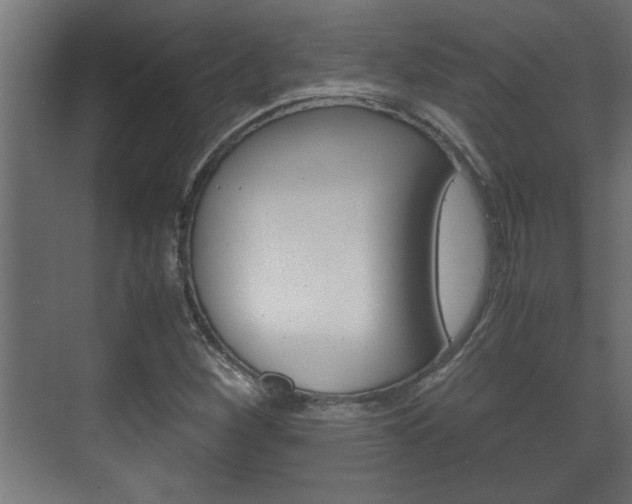 X0000072531260200607141001