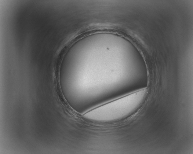 X0000072531261200607141001