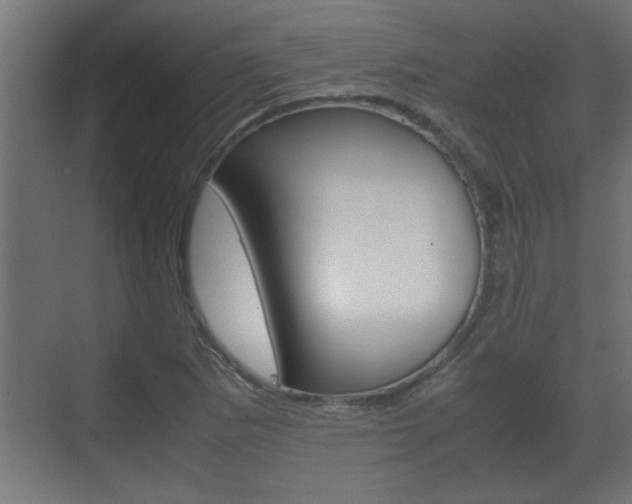 X0000072531265200607141001