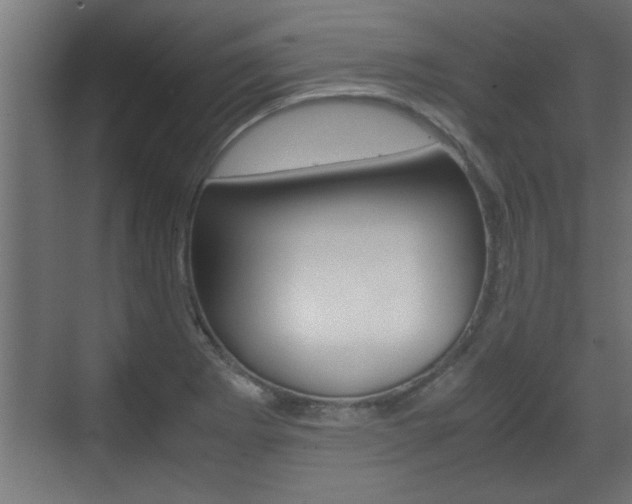 X0000072531273200607141001