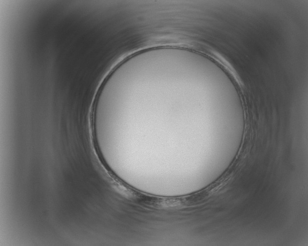 X0000072531291200607141001