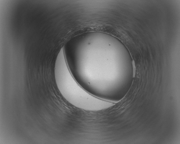 X0000072531298200607141000