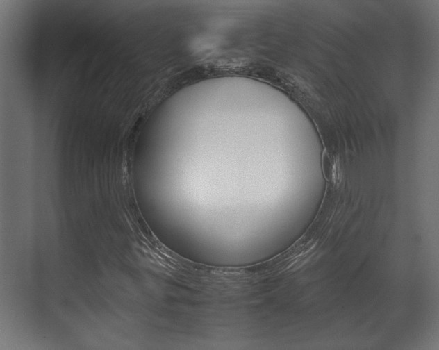 X0000072531299200607141000