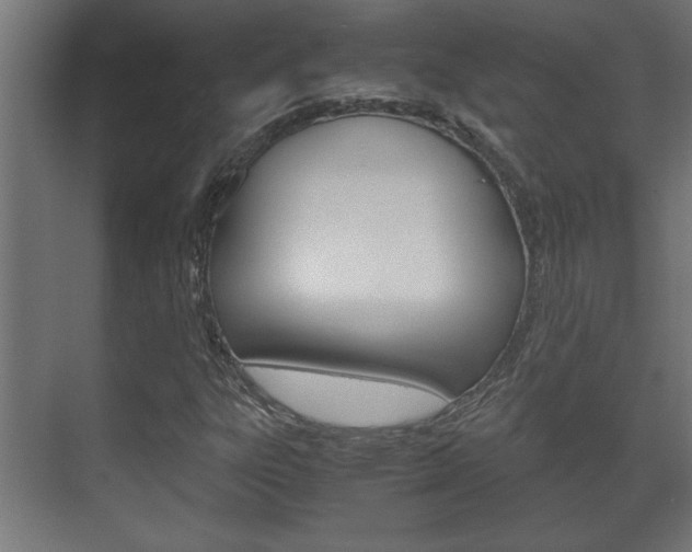 X0000072531303200607141000