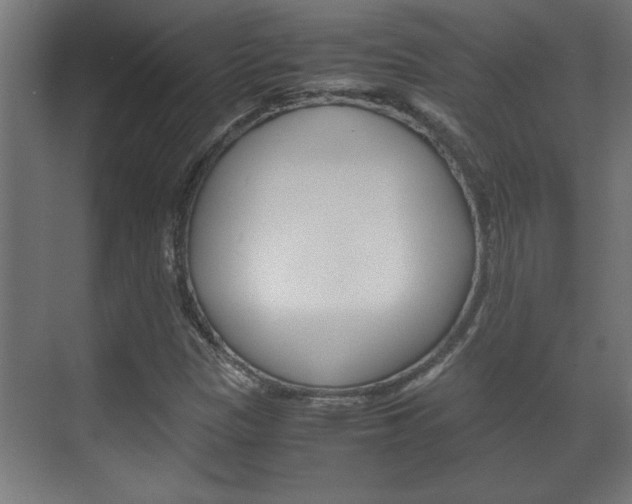 X0000072531305200607141000