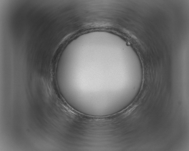 X0000072531306200607141000