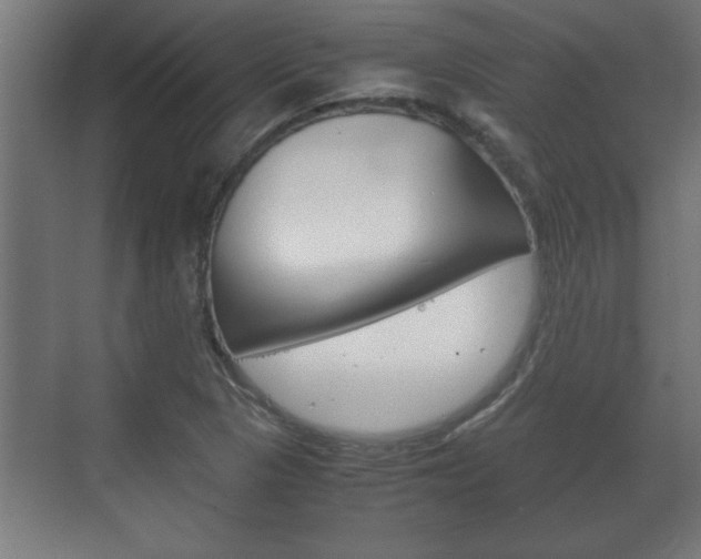 X0000072531313200607141000