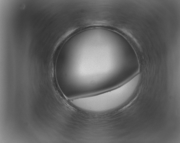 X0000072531317200607141000