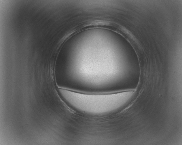 X0000072531321200607141000