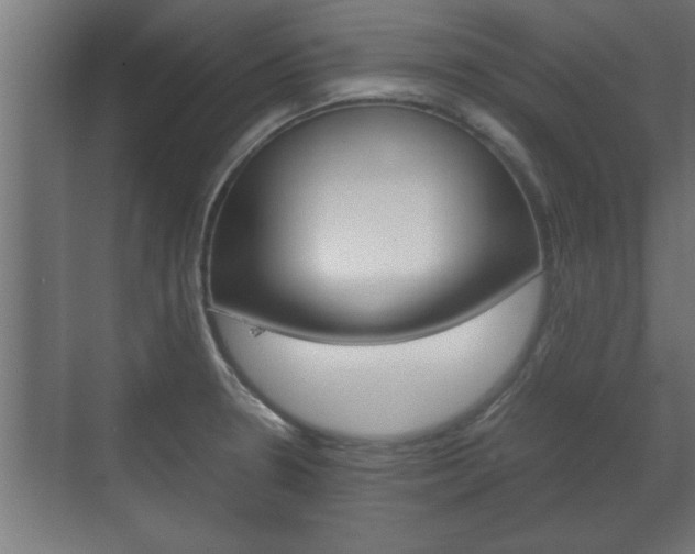 X0000072531330200607141000