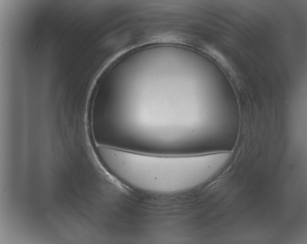 X0000072531331200607141000