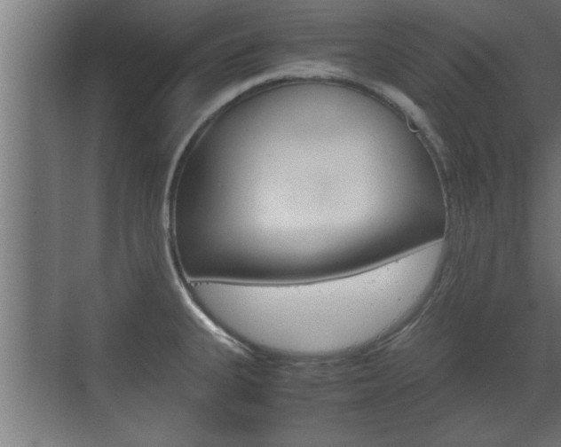 X0000072531335200607141000