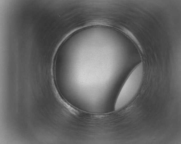 X0000072531339200607141000