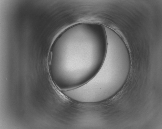 X0000072531344200607141000
