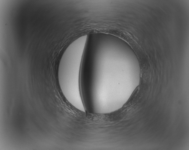 X0000072531345200607141000