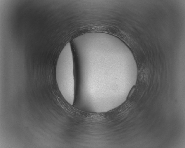X0000072531346200607141000